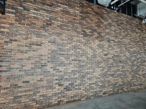 Bricknology